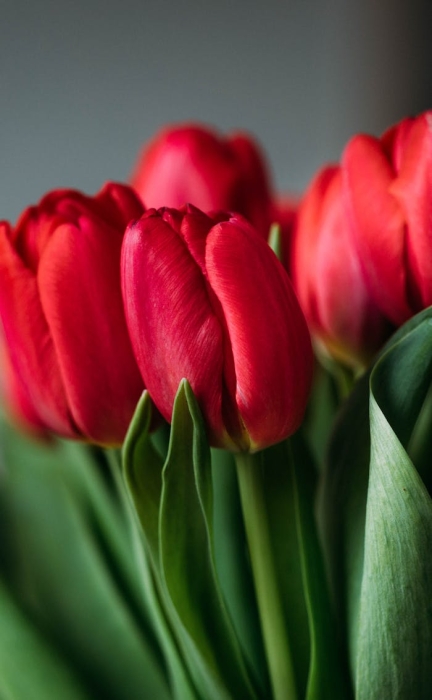 seo����Ҫע��ʲô��